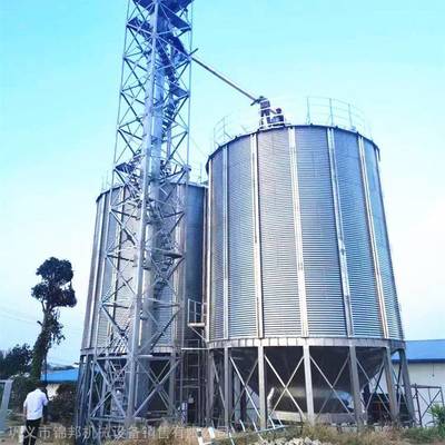 糧食鋼板倉 現代化平底倉與糧油倉儲服務解析——以3000噸小麥倉、水稻倉為例